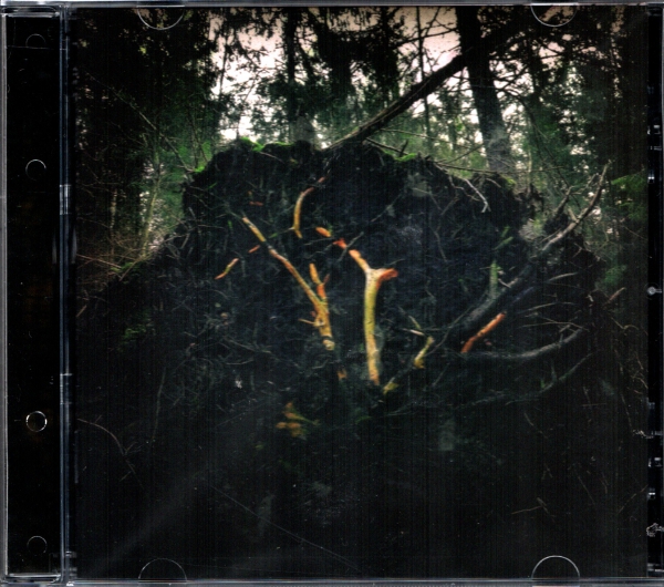 images Aukels - Raynkaym CD