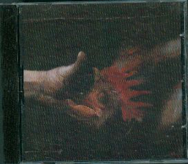 images Bloodhammer / Ride for Revenge - Chords of the Left Hand Split CD