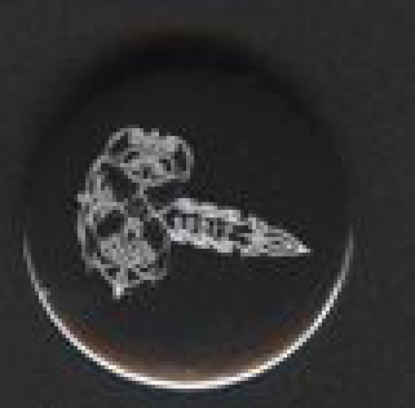 images Menhir - Logo Button 25