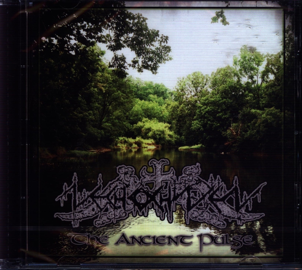 images Nechochwen - The Ancient Pulse CD