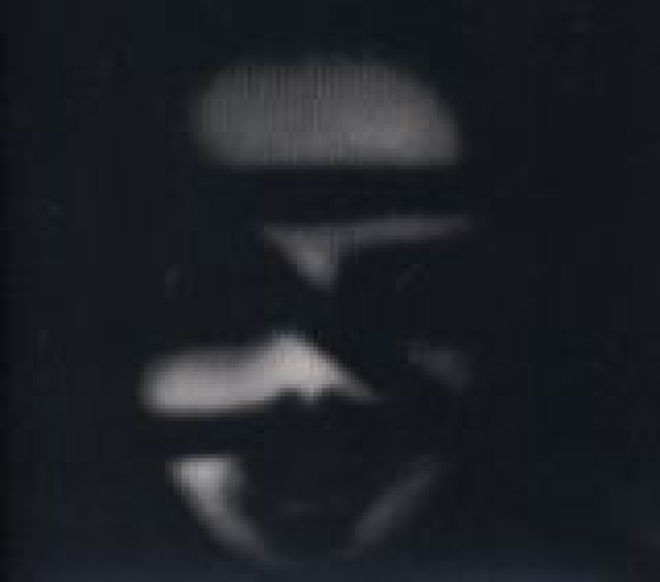 ( V.E.G.A.) - Cocaine Digi CD